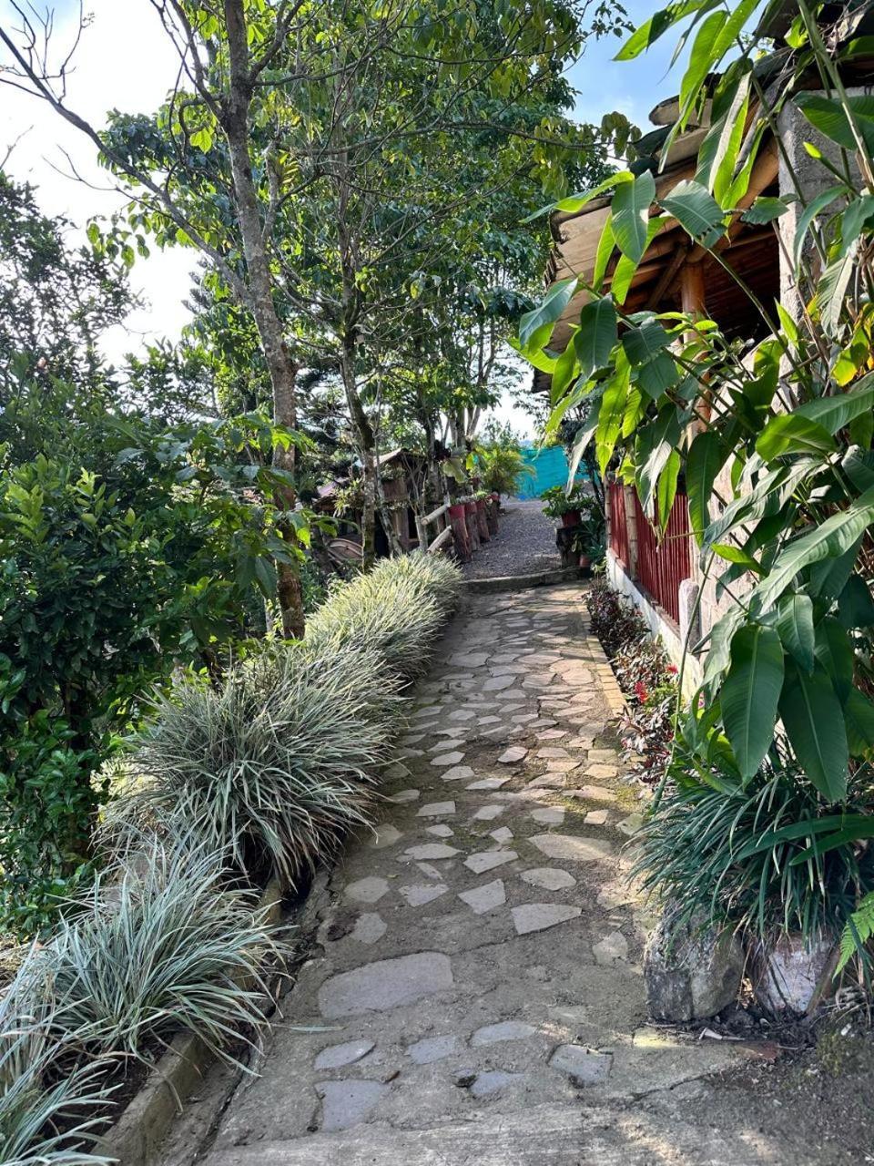 Bed and Breakfast El Refugio Del Colibri Санта-Роса-де-Кабаль Экстерьер фото